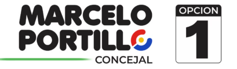 Logo del sistema